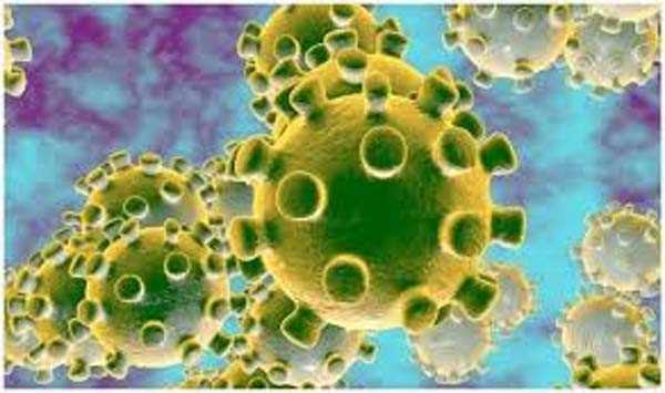 भोपाल जिले में कोरोना के 131 नये मामले